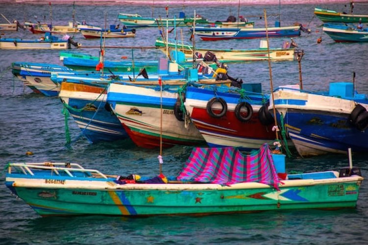 8 வது நாளாக‌ மீனவர்கள் மீன்பிடிக் செல்ல தடை பல கோடி ரூபாய் இழப்பு!!