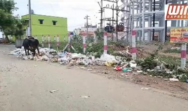 திருப்பூர் மாநகராட்சியில் வீதி எங்கும் குப்பைகள் நோய் பரவும் அபாயம் நடவடிக்கை எடுப்பாரா?