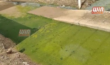 தேனி ஆண்டிபட்டி அருகே முத்தனம்பட்டி கிராமத்தில் முறையான கழிவுநீர் கால்வாய் அமைக்காததால் 6 மாதங்களாக கழிவுநீர் தெருக்களில் தேங்கி தற்போது பச்சைநிறமாக மாறியுள்ளது!